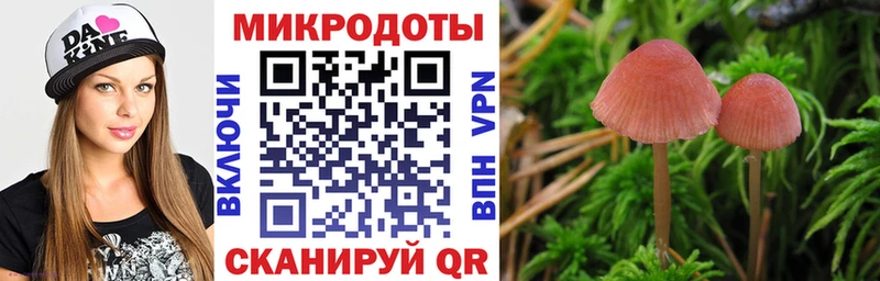 Галлюциногенные грибы мицелий  мега ссылка  Валдай  где найти наркотики 